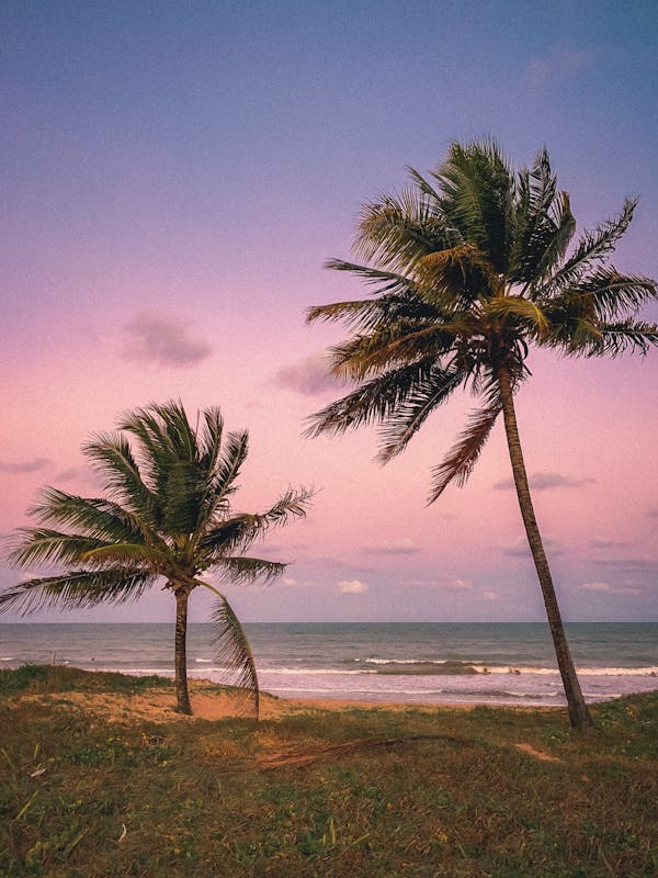 Areia Vermelha